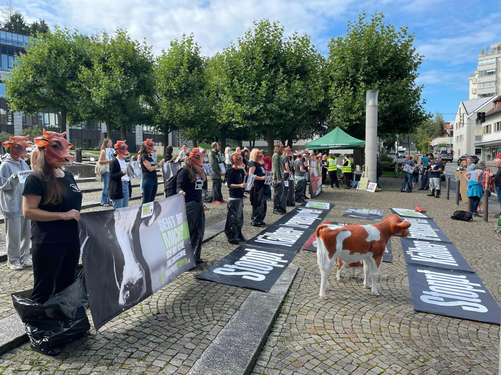 2021-09-11_Demo Bregenz Tiertransporte_04.jpeg