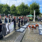 2021-09-11_Demo Bregenz Tiertransporte_04.jpeg