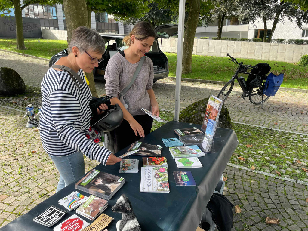 2021-09-11_Demo Bregenz Tiertransporte_06.jpeg