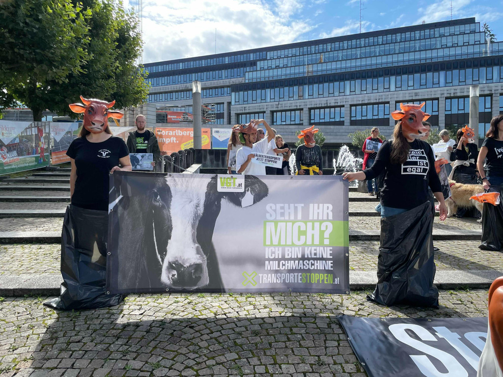 2021-09-11_Demo Bregenz Tiertransporte_08.jpeg