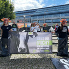 2021-09-11_Demo Bregenz Tiertransporte_08.jpeg