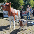 2021-09-11_Demo Bregenz Tiertransporte_26.jpeg
