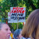 Vienna_at-90.jpg
