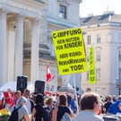 Vienna_at-98.jpg