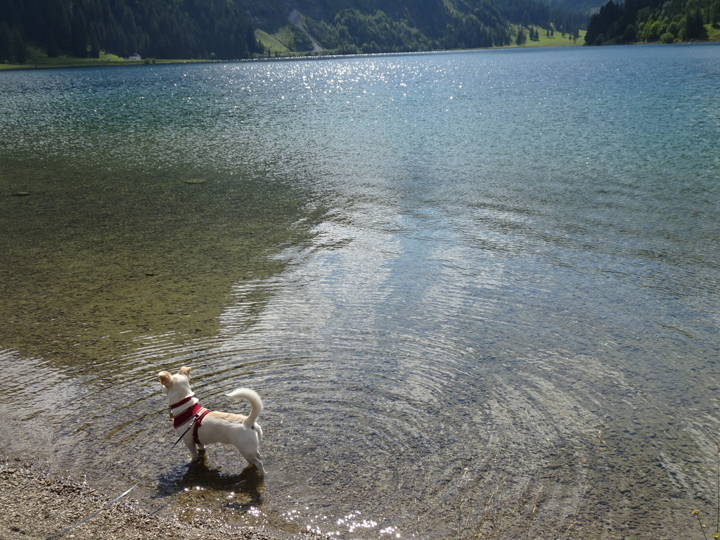 Jungholz und Tannheimertal 6_9_2021  _63_.JPG