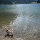 Jungholz und Tannheimertal 6_9_2021  _63_.JPG