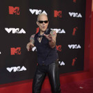 2021_MTV_Video_Music_Awards_-_Arrivals_35832.jpg