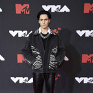 2021_MTV_Video_Music_Awards_-_Arrivals_45479.jpg