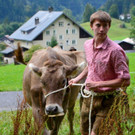 Alpabtrieb 2021 Dalaaser Spullers K__he _21_.jpg