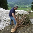 Alpe Westegg Lawinensch__den.jpg