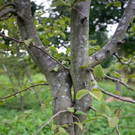 HL8A4579-4.jpg