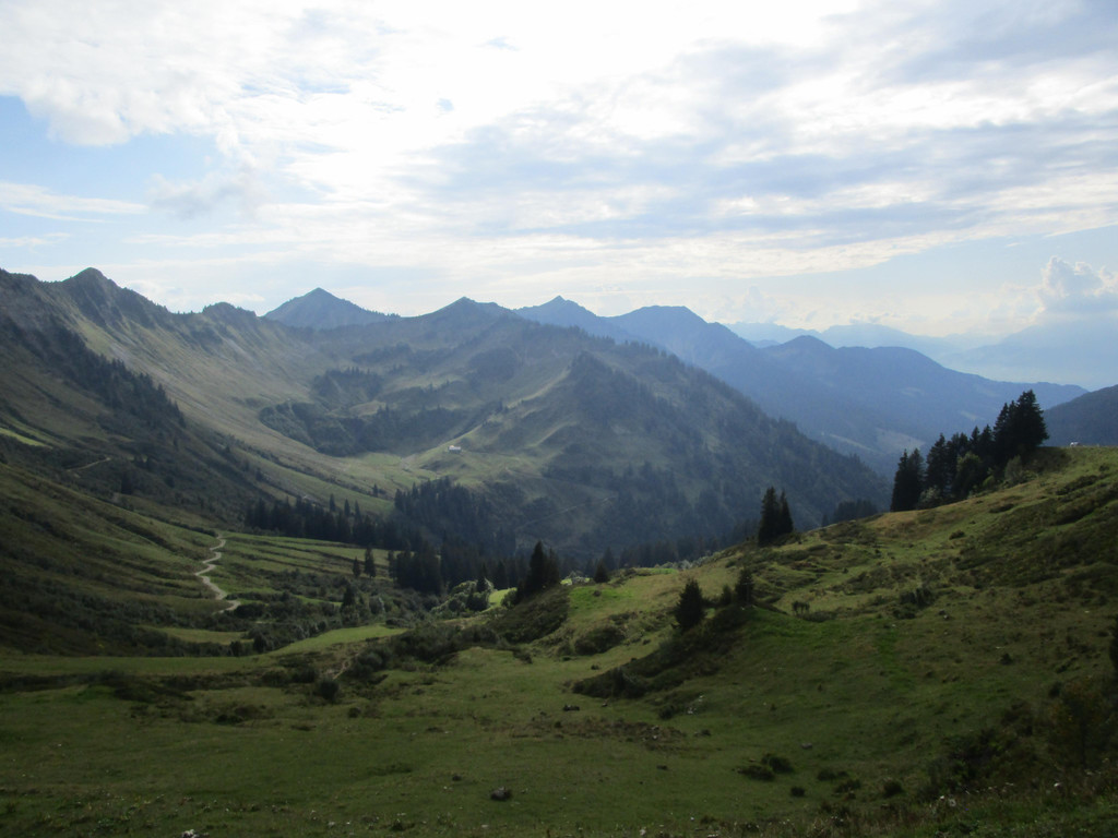 IMG_5158.JPG