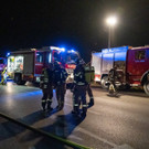 Foto_Steiner05.jpg