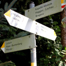 Kanal und Wasser PF__NDER HINTERMOOS NEU 10-09-2021 _9_ .JPG