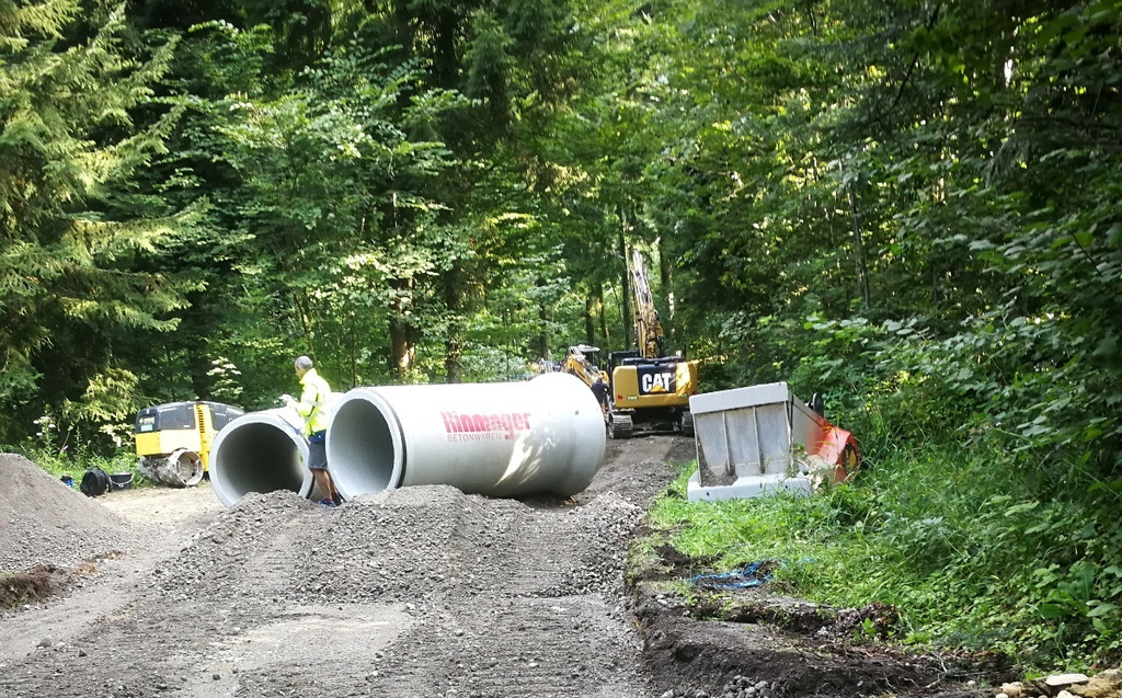 Kanal und Wasser PF__NDER HINTERMOOS NEU 10-09-2021 _15_ .jpg