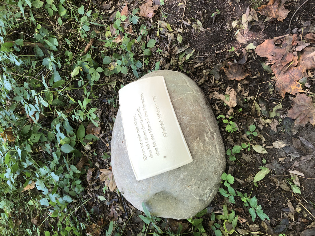 image00004.jpeg