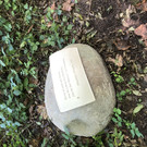 image00004.jpeg