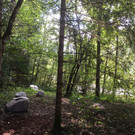 image00001.jpeg