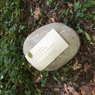 image00002.jpeg