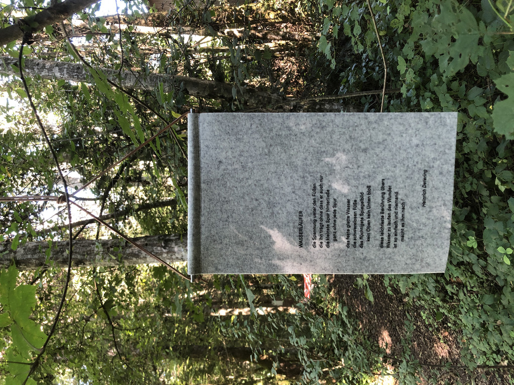image00007.jpeg