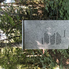 image00007.jpeg