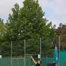 IMG20210918105458.jpg