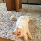 Billy