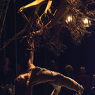 Luftakrobatik aus Österreich 