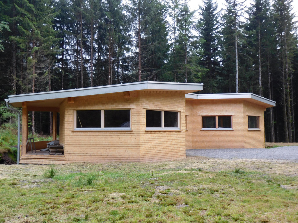 DSCI6522.JPG