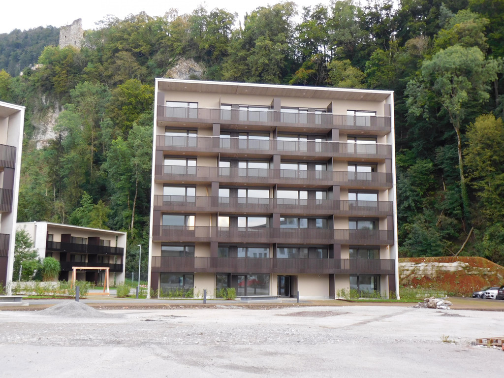 DSCI6528.JPG