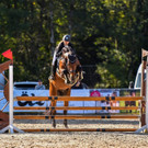 520-4423-2.jpg