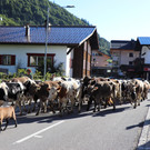 IMG_6535.JPG