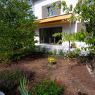NEUE-Gartentipp: Stauden und Hecken verzieren jeden Garten