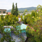 EB1P3385-2.jpg
