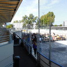 DSCI6546.JPG
