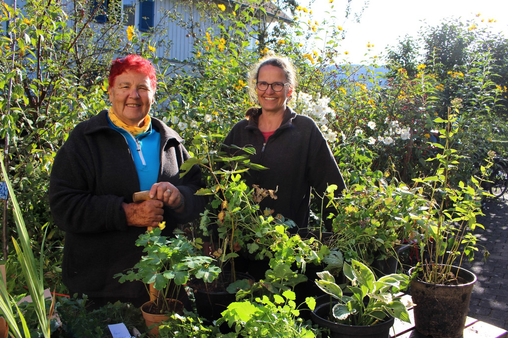 Pflanzentauschb__rse in MELITTAS GARTEN im HERBST 25-09-2021 _1_.JPG