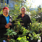 Herbstliche Pflanzentauschbörse in „Melittas Garten“ in Lochau