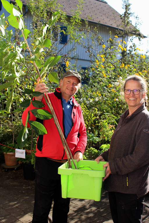 Pflanzentauschb__rse in MELITTAS GARTEN im HERBST 25-09-2021 _9_.JPG