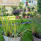 Pflanzentauschb__rse in MELITTAS GARTEN im HERBST 25-09-2021 _5_.JPG