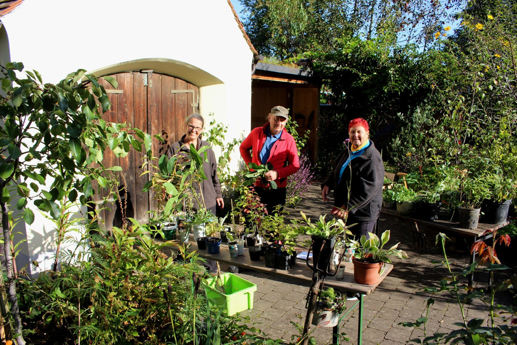 Pflanzentauschb__rse in MELITTAS GARTEN im HERBST 25-09-2021 _11_.JPG