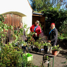 Pflanzentauschb__rse in MELITTAS GARTEN im HERBST 25-09-2021 _11_.JPG