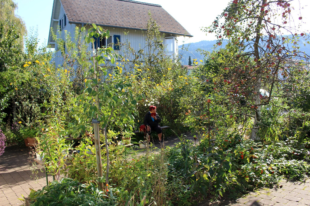 Pflanzentauschb__rse in MELITTAS GARTEN im HERBST 25-09-2021 _8_.JPG