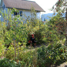 Pflanzentauschb__rse in MELITTAS GARTEN im HERBST 25-09-2021 _8_.JPG