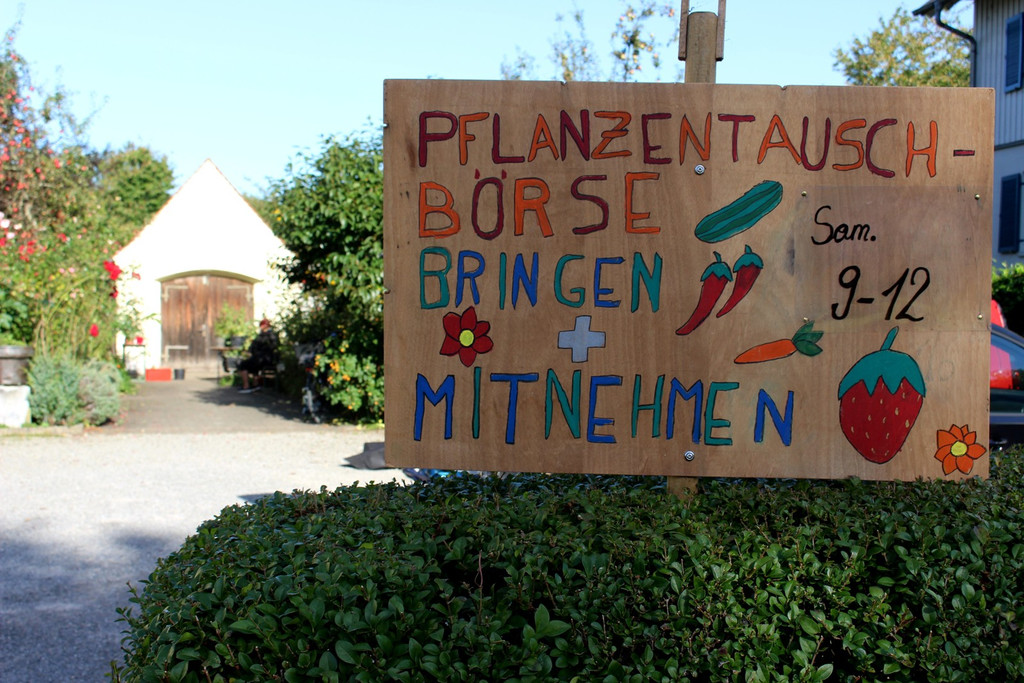 Pflanzentauschb__rse in MELITTAS GARTEN im HERBST 25-09-2021 _14_.JPG