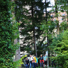 IMG_7655.JPG