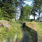 IMG_7663.JPG