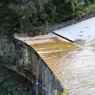 IMG_7664.JPG