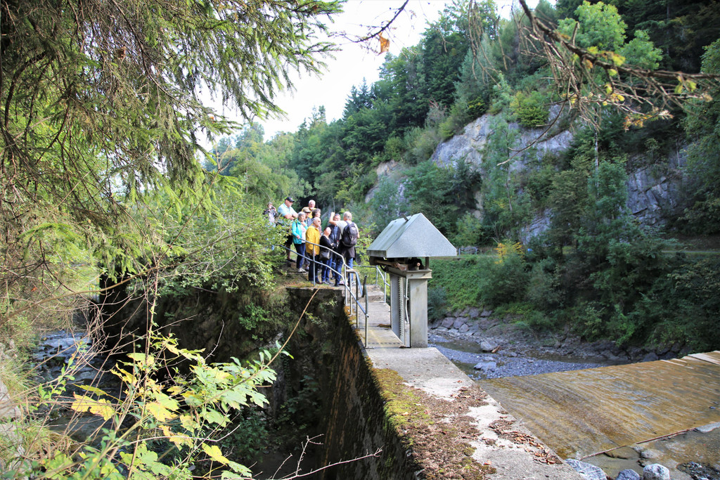 IMG_7667.JPG