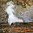 IMG_7670.JPG