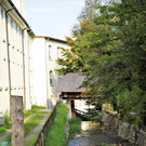 IMG_7682.JPG